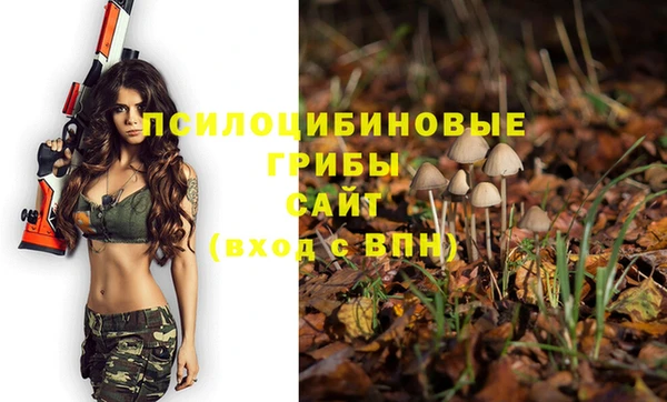 молекула духа Вязьма
