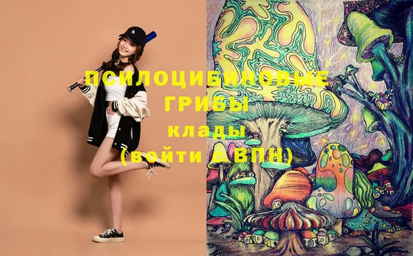 mdma Вяземский