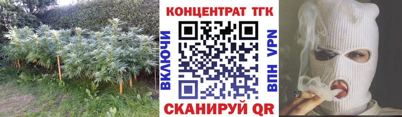 Купить где  Кедровый  ТГК вейп с тгк 