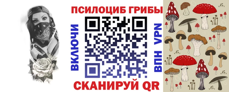 Купить где  Кедровый  Галлюциногенные грибы GOLDEN TEACHER 